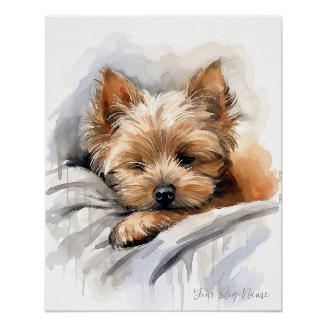 Poster Super mignon ange endormi chiot Yorkshire Terrier (Devant)