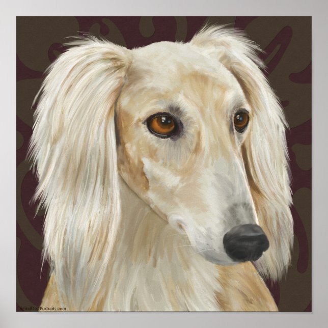 Poster Superbe fourrure légère Saluki Chien sur Arrière - (Devant)