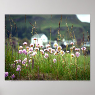 Poster Superbe paysage écossais Pittoresque