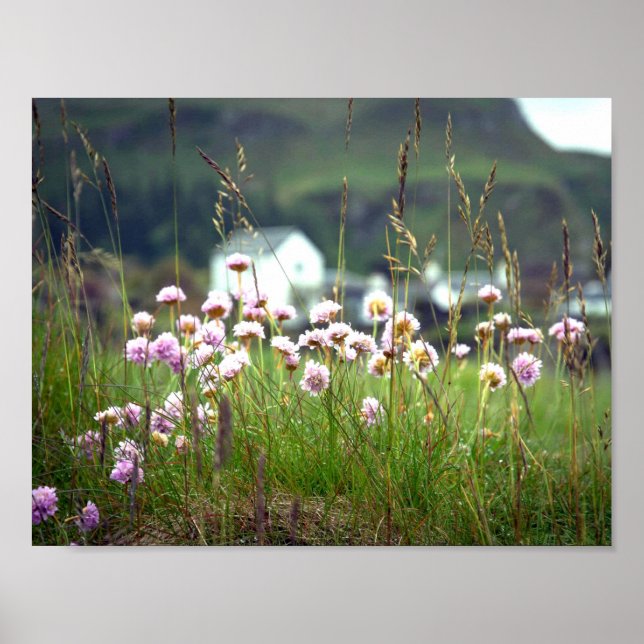 Poster Superbe paysage écossais Pittoresque (Devant)