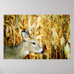 Poster Superbe peinture à l'aquarelle de cerf blanc