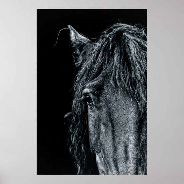 Poster Superbe portrait de cheval noir (Devant)