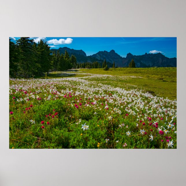 Poster Superfleur d'Avalanche Lily (Devant)