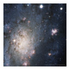 Supernova brillante dans NGC 2403 12x12 (13x13)