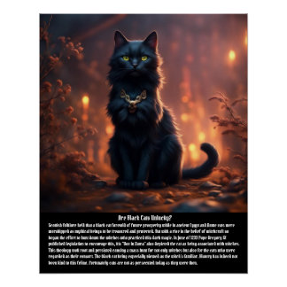 Poster Superstition de chat