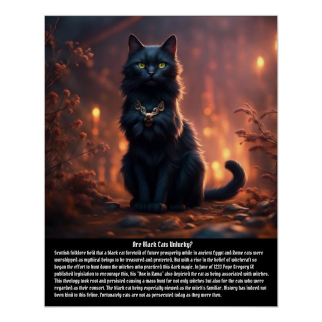 Poster Superstition de chat (Devant)