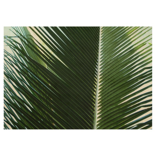 Poster Sur Bois Overlapping Palm Fronds Tropical Green Abstract (Devant)
