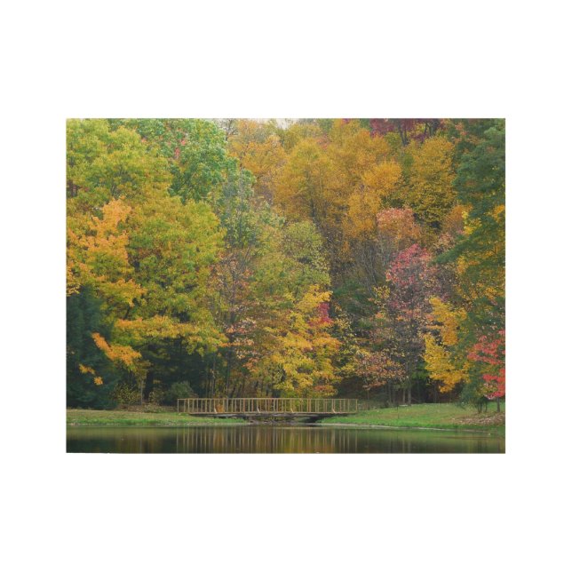 Poster Sur Bois Seven Springs Fall Bridge II Autumn Paysage (Devant)