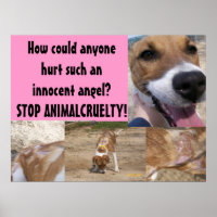 Poster sur la cruauté envers les animaux