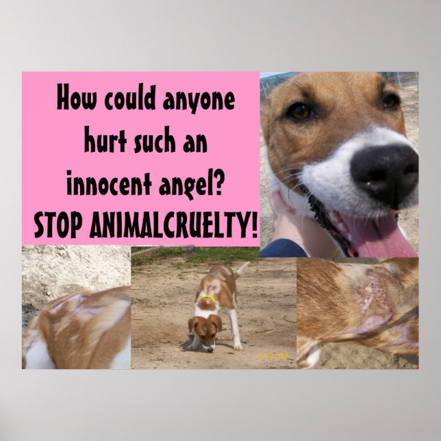 Poster sur la cruauté envers les animaux (Devant)