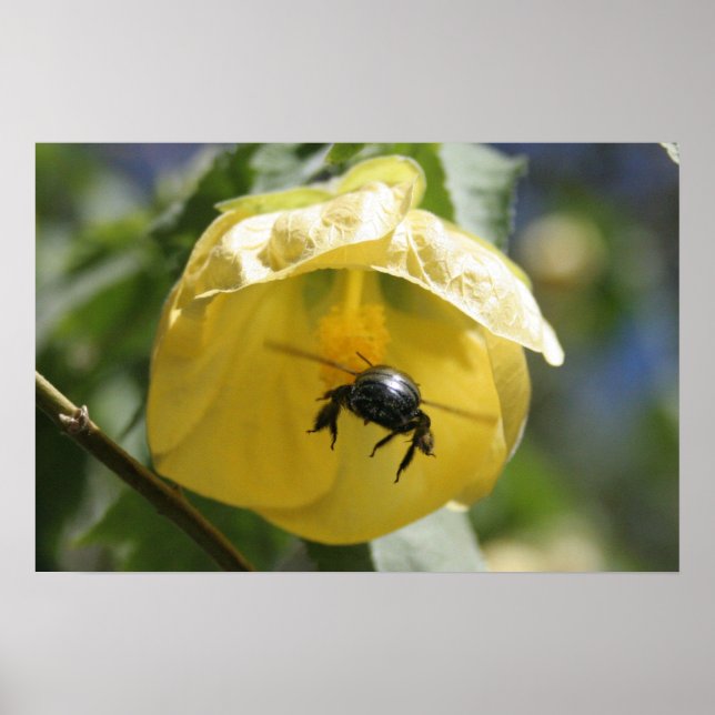 Poster Sur la recherche (Devant)