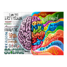 Poster sur le cerveau gauche