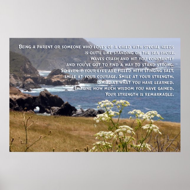 Poster sur le rôle parental pour besoins spéciaux (Devant)