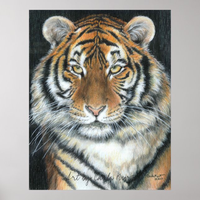 Poster sur le tigre, Art par Carla Kurt (Devant)