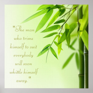 Poster sur le traitement des spas