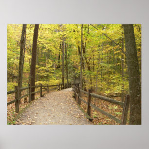 Poster sur l'émotion d'automne