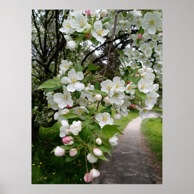 Poster Sur les bouches des fleurs (Devant)