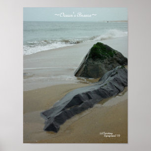 Poster sur les rochers des vagues océaniques