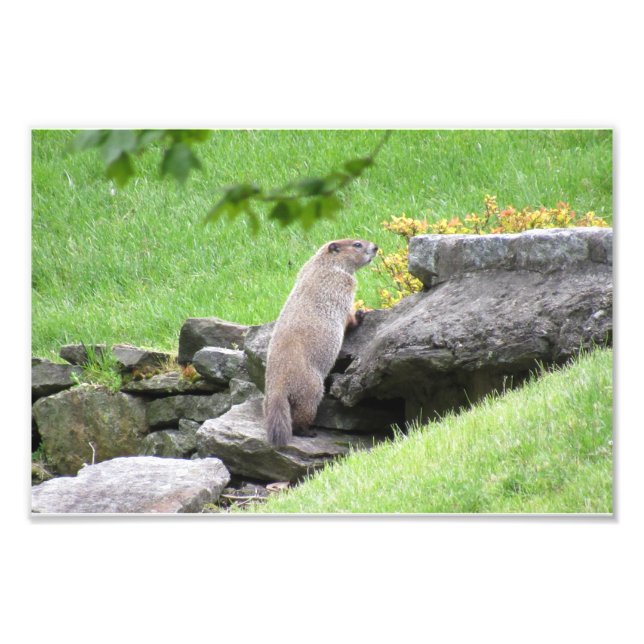 Poster sur les rochers Photo Imprimer (Devant)