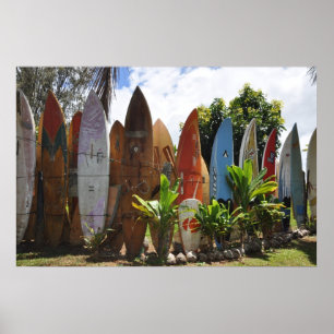 Poster Surboard Fence Maui, HI