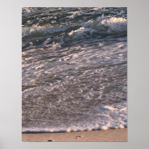 Poster Surf