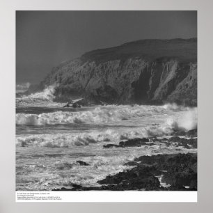 Poster Surf et rochers près de la gare de Bodega, 1966