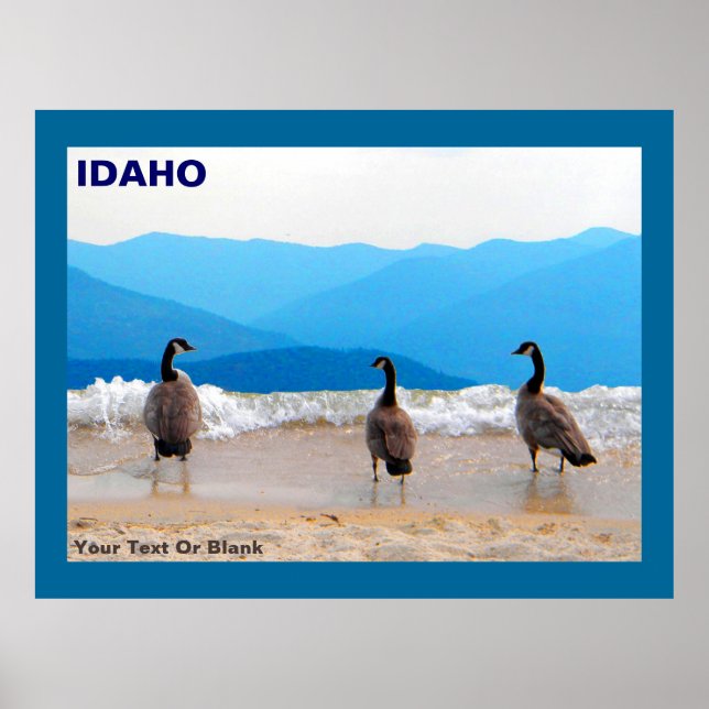 Poster SURF ! - Oies (Devant)