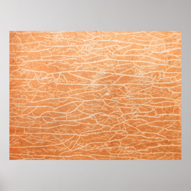 Poster surface Brown (Devant)