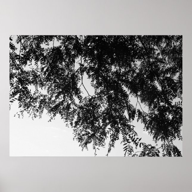 Poster Surplomb de la feuille (Devant)