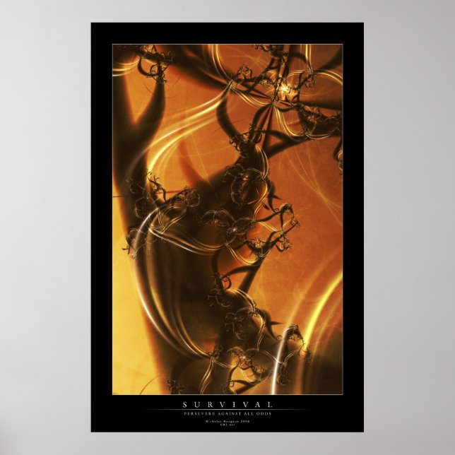 Poster Survie (Devant)