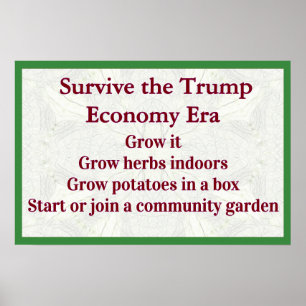 Poster Survivre à l'économie Trump, la faire croître