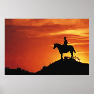 POSTER SUSET DE COWBOON LONE