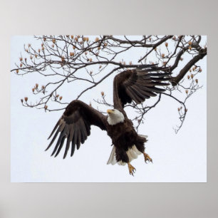 Poster Suspendu en plein air