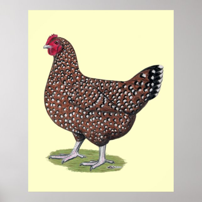 Poster Sussex : Hen Speckled (Devant)