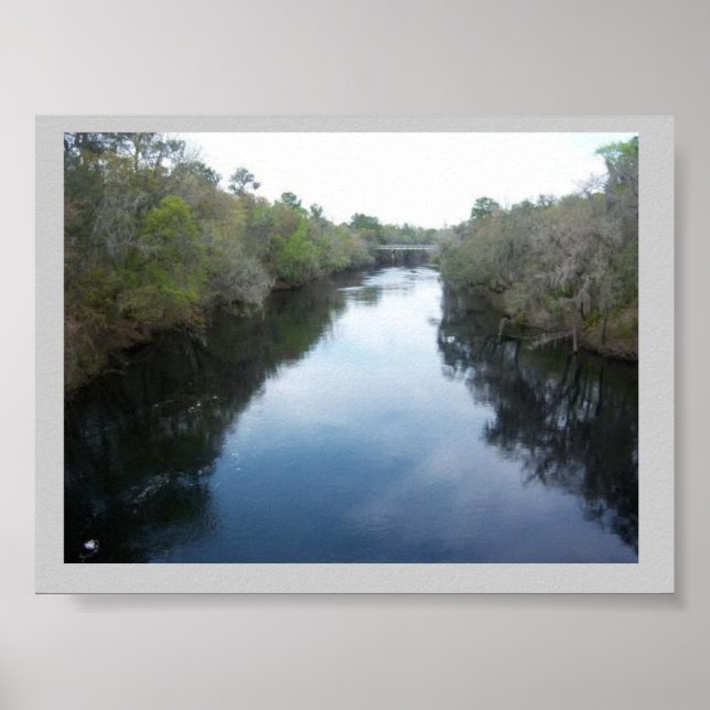 Poster Suwannee River View Floride (Devant)