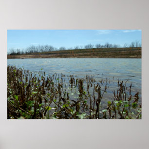 Poster Swampy Scape