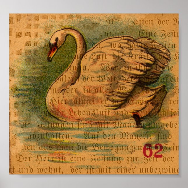 Poster Swan (Devant)