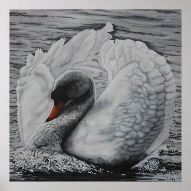 Poster Swan (Devant)