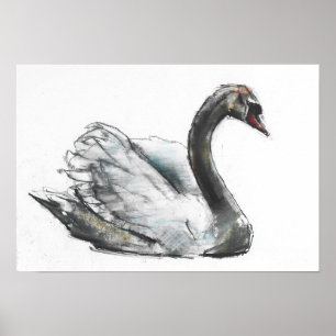 Poster Swan