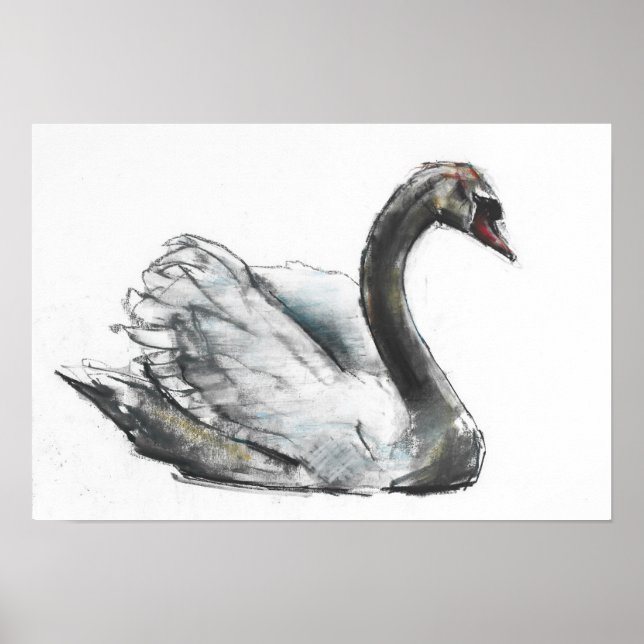 Poster Swan (Devant)