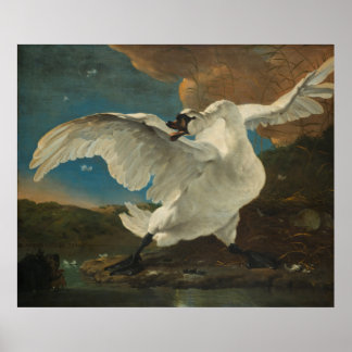 Poster Swan Asselijn