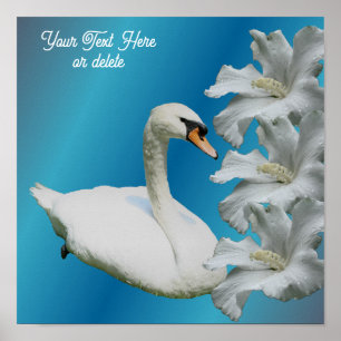 Poster Swan Et Hibiscus Flower Ajouter Votre Texte