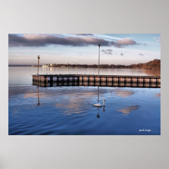 Poster Swan Madison Wisconsin (Devant)