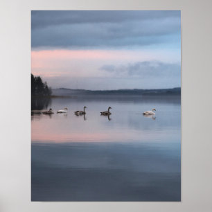Poster Swan Mountains Cottage Office Destiny's Destiny