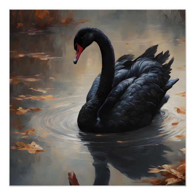 Poster Swan noir no 8 (Devant)
