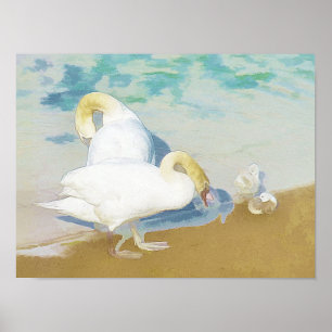 POSTER SWANS