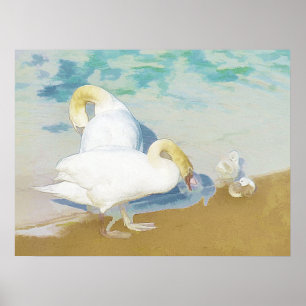 POSTER SWANS