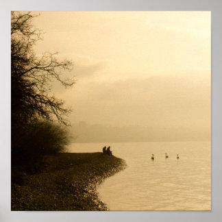 Poster Swans sur un lac