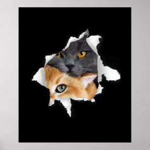 Poster Sweet Kitten Couple Drôle cadeau Amoureux des ch