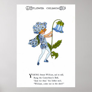 Poster Sweet William